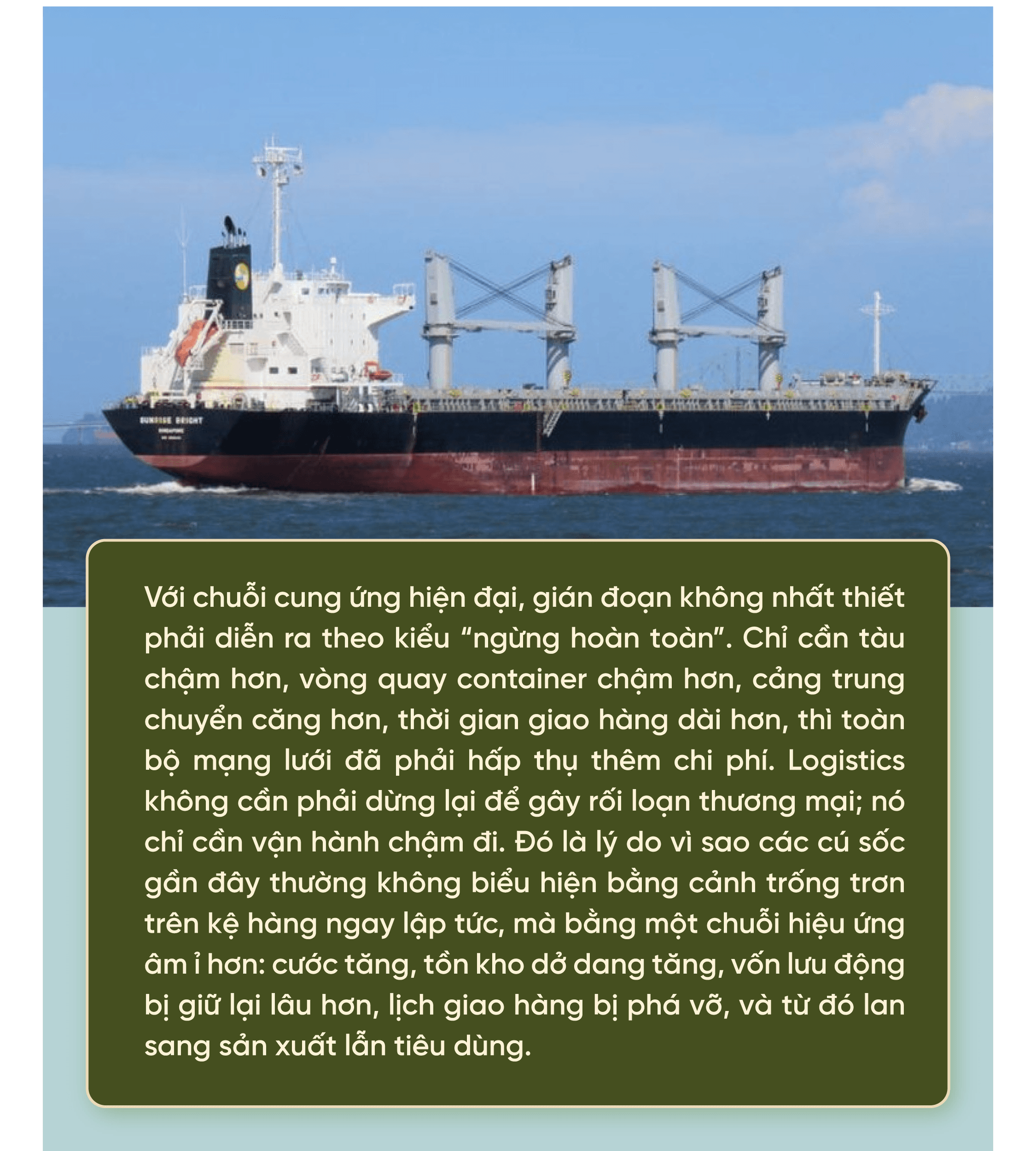 Khả năng chống đứt gãy chuỗi cung ứng toàn cầu tại Việt Nam - ảnh 3 Xác định điều khoản trách nhiệm và bảo hiểm rõ ràng - Khả năng chống đứt gãy chuỗi cung ứng toàn cầu tại Việt Nam