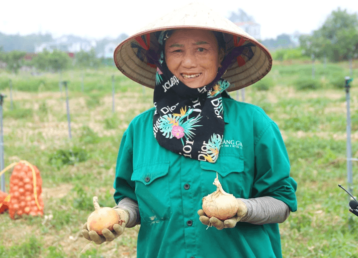 Chuỗi giá trị nông thôn và vận tải tối ưu tại Việt Nam - ảnh 3 FAQ - Chuỗi giá trị nông thôn và vận tải tối ưu tại Việt Nam