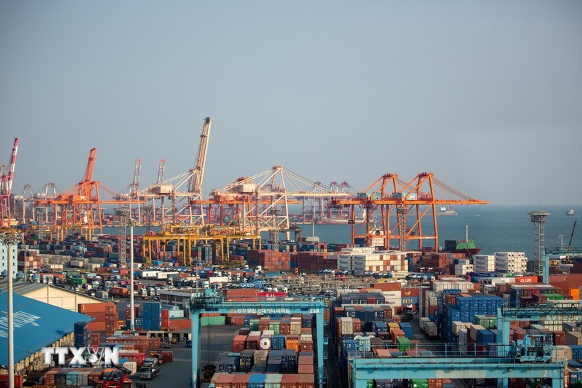 Vietnam logistics insights