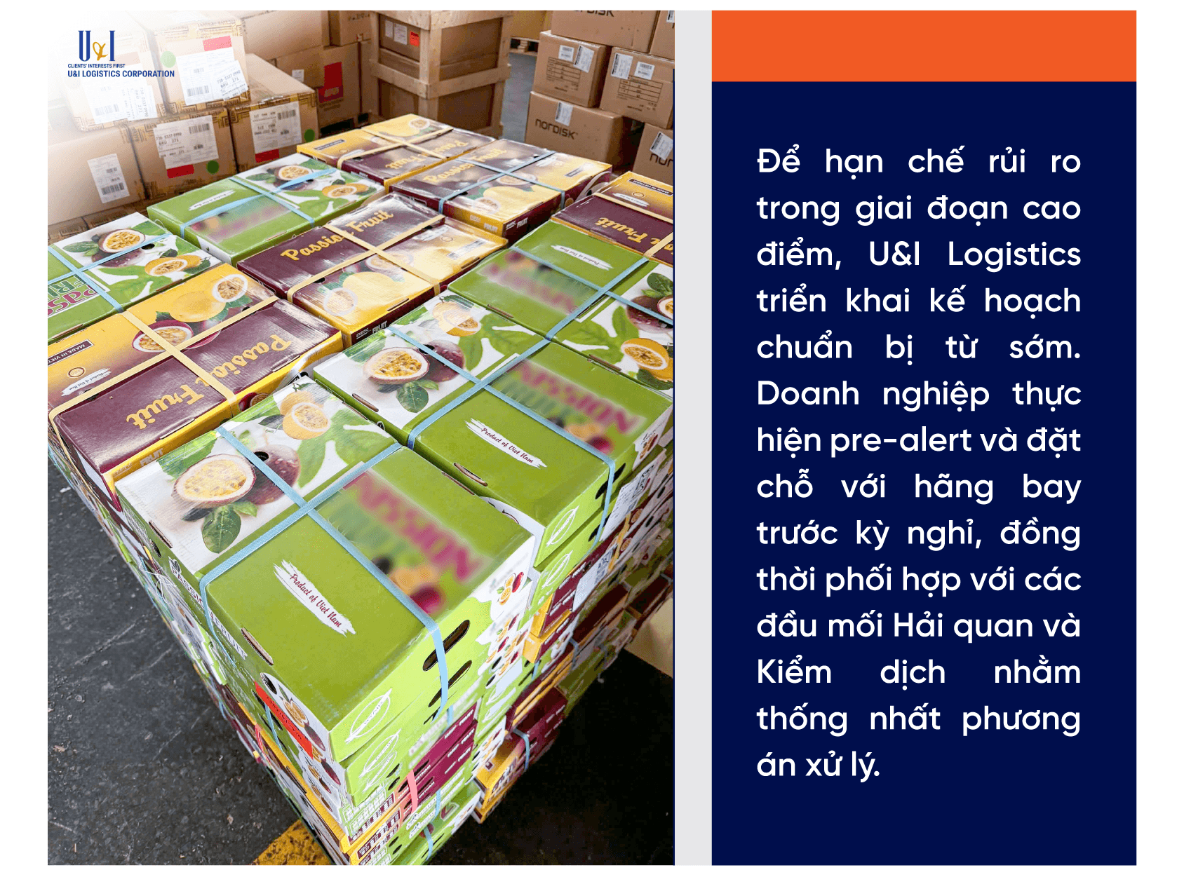 Chuỗi lạnh hàng không cho hàng nông sản Tet tại Việt Nam